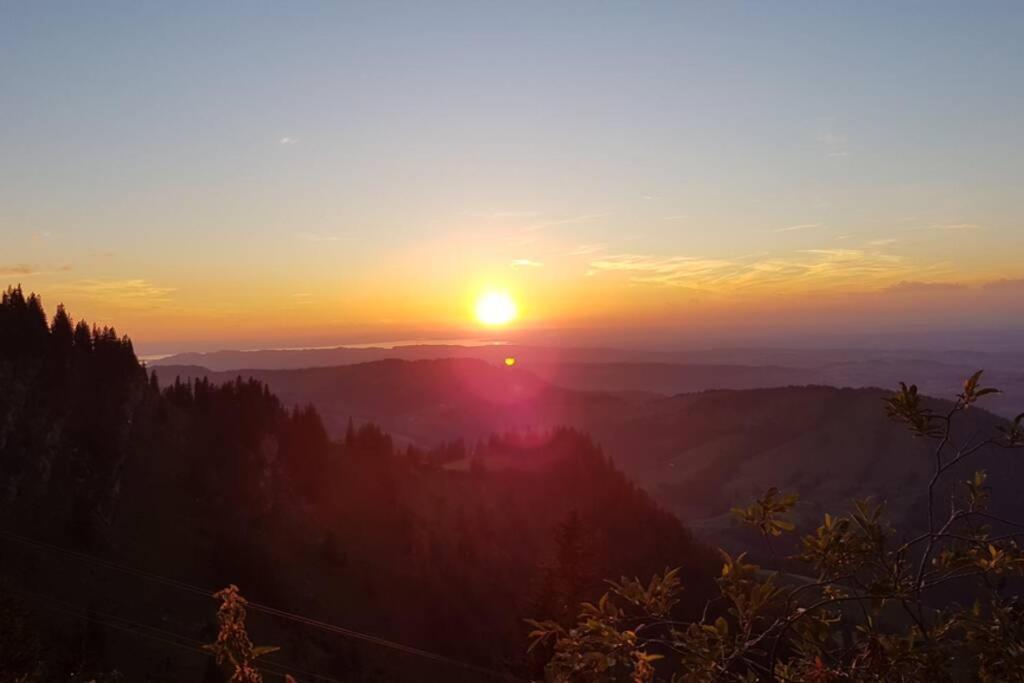 Fewo Allgaeuliebe Mit Wlan Oberstaufen Steibis Екстер'єр фото