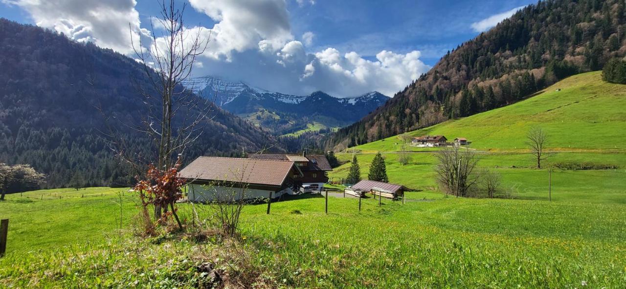 Fewo Allgaeuliebe Mit Wlan Oberstaufen Steibis Екстер'єр фото